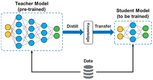 A clear flowchart showing the process of knowledge distillation, where a large, pre-trained teacher model transfers its knowledge to a smaller, more efficient student model using a shared dataset