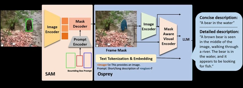 A flowchart of the Osprey multi-modal AI, demonstrating how it integrates the Segment Anything Model (SAM) with a Large Language Model (LLM) for detailed, region-based image description
