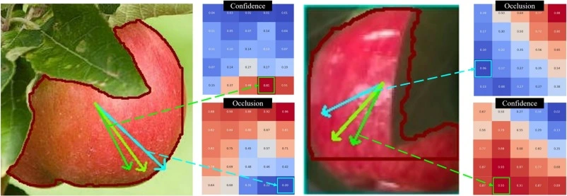 AI analysis of an occluded apple, using heatmaps to visualize the model's confidence and understanding of the occlusion