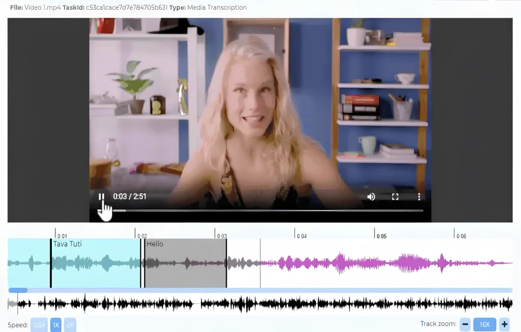 Screenshot of a media transcription tool, showing a video and its corresponding audio waveform segmented and labeled with text